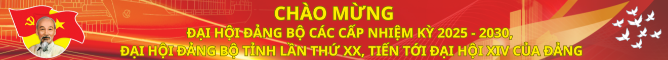 Banner 2