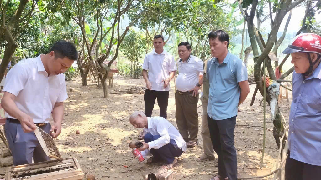 Ủy ban nhân dân xã Sơn Kim 1 tổ chức lớp tập huấn kỹ thuật nuôi ong lấy mật cho bà con nuôi ong trên địa bàn toàn xã