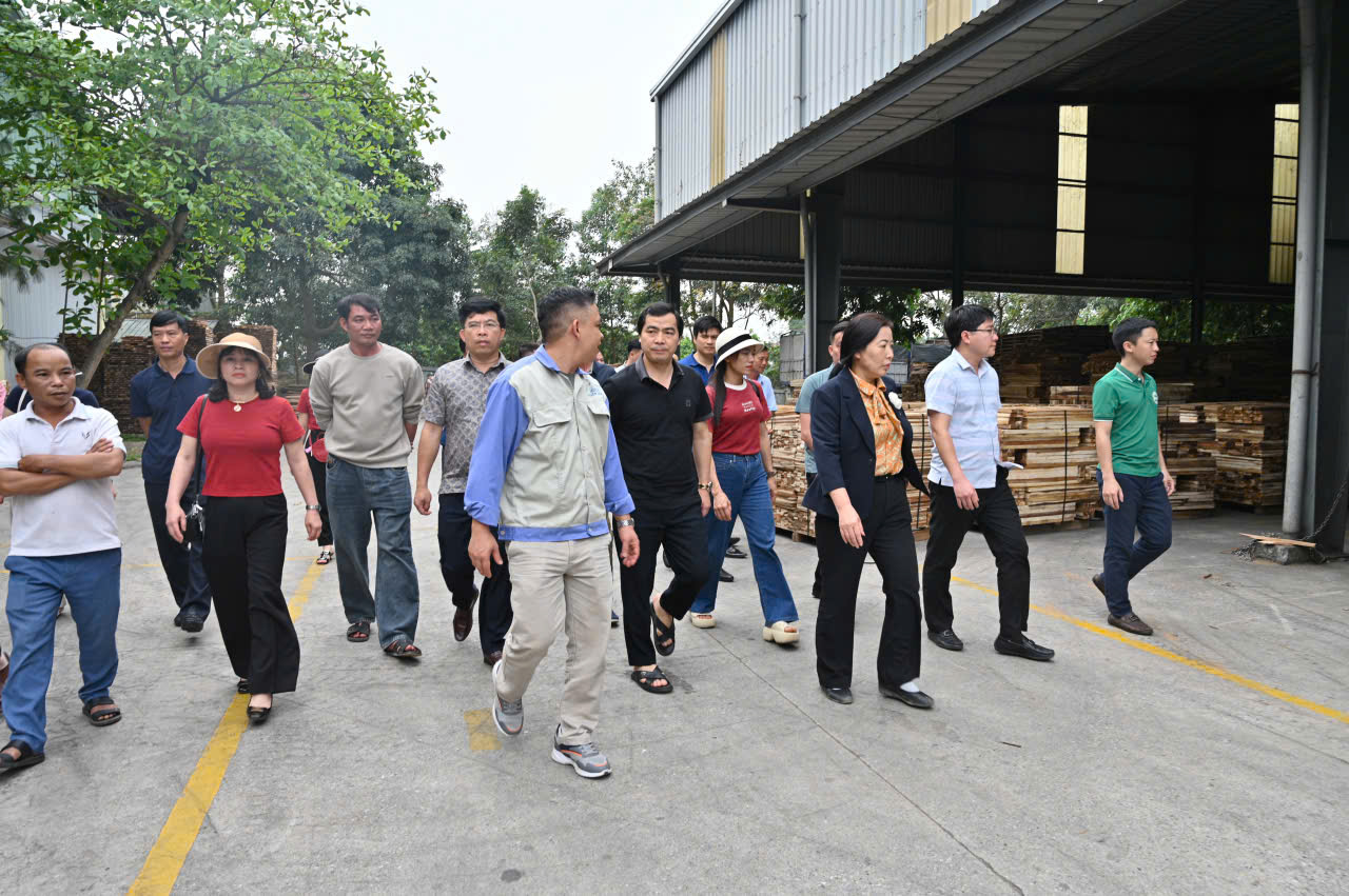 Đoàn công tác xã Sơn Kim 1 thăm quan, học tập kinh nghiệm về phát triển rừng bền vững tại các tỉnh phía Bắc