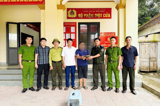 Công dân tự nguyện giao nộp động vật hoang dã quý hiếm cho cơ quan chức năng