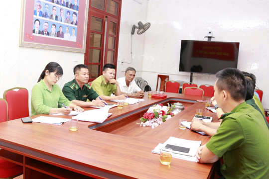 Sơn Kim 1 kiểm tra, lập hồ sơ vụ việc khai thác rừng trái phép tại khoảnh 3, tiểu khu 61
